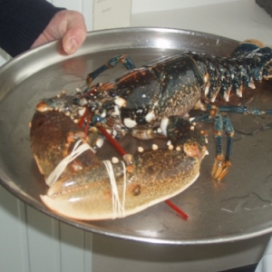 restaurant la sirene cap gris nez