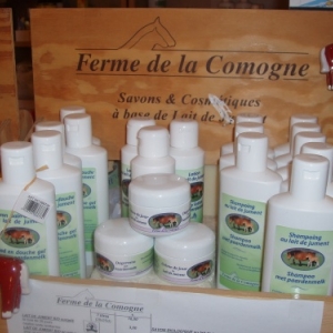 la ferme de comogne - focant