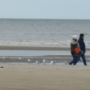 De Haan-aan-Zee, le Coq, un autre visage de la côte belge