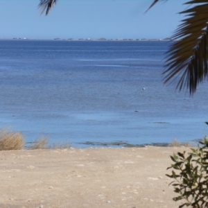 fort espagnol - houmt souk - ile des flamands roses