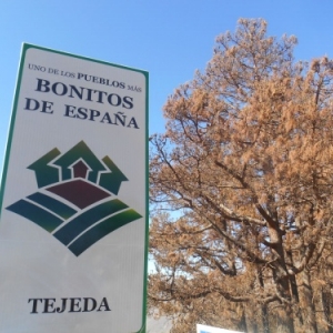 tejeda