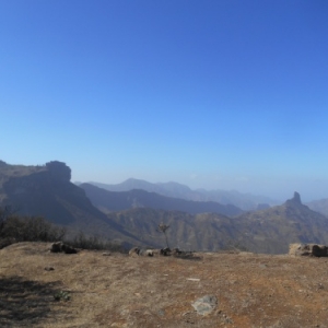 Gran Canaria, la Grande Canarie : el paraiso de las islas canarias