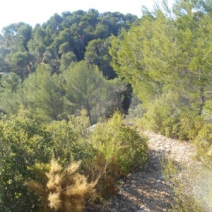 aubagne - font de mai