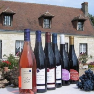 Vins de Bourgueil