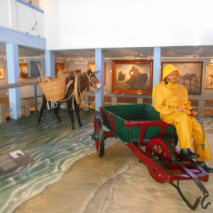 Navigo Oostduinkerke