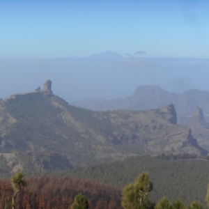 le moine la grenouille le rocher de la brume roque nublo