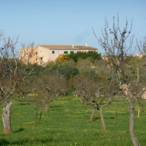 Mallorca, "l'île boisée" Mallorca, "l'île boisée"
