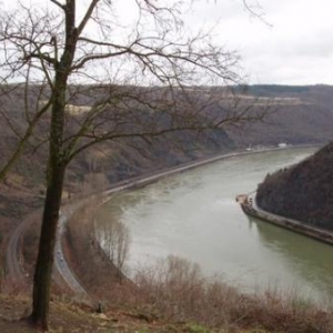 rocher de la loreley