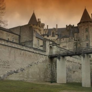 Chateau de Saumur
