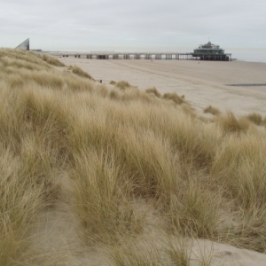 blankenberge blankenberge