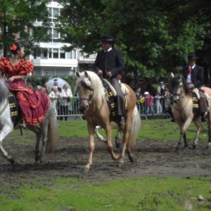 Journée "à pied, à cheval, à vélo" dans le centre de Liège