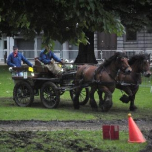 Journée "à pied, à cheval, à vélo" dans le centre de Liège