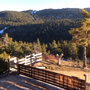 Vu sur les pistes Vu sur les pistes