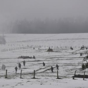 Commémoration de la Bataille des Ardennes, 11 et 12 décembre 2010