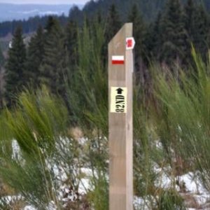 Encore des photos de la Marche commémorative de la 82ème Airborne (La Gleize)