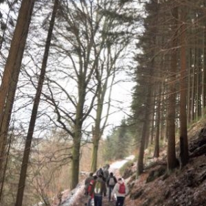 Encore des photos de la Marche commémorative de la 82ème Airborne (La Gleize)