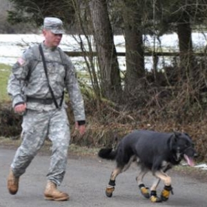 Encore des photos de la Marche commémorative de la 82ème Airborne (La Gleize)