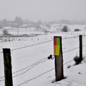 Commémoration de la Bataille des Ardennes, 11 et 12 décembre 2010