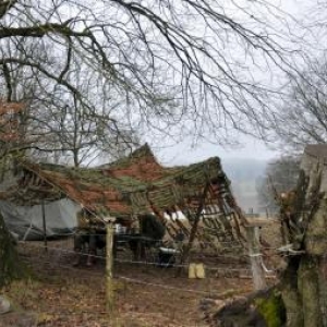 "In the footsteps of the 82nd Airborne Division", Manhay, 26 Fév. 2011