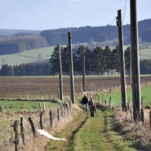 Bihain: 4ème marche en souvenir de la 83ème division d'infanterie.