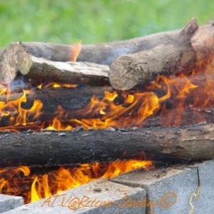 Barbecue annuel CHTIQUAD à Floyon