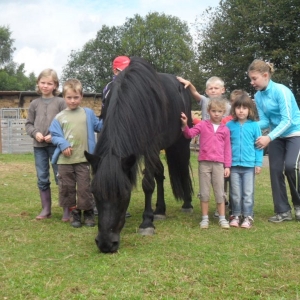 La ferme d’A Yaaz. Les petits animaux devenus familiers