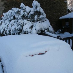 Oyez, daltonniens: les sapins sont verts, la voiture est rouge.