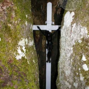 Le crucifix loge dans le creux.