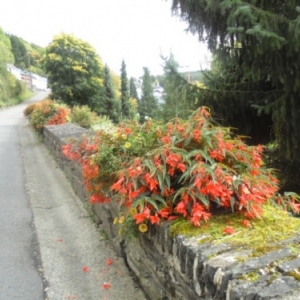 Rue de la Promenade 04.10.07.