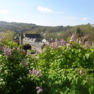 Houffalize, vue du Bois des Moines. 11.05.2017 lilas de la Saint Mamert,