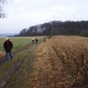 l'agriculture manquerait-elle de bras?