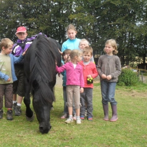 La ferme d’A Yaaz. En compagnie d'un cheval de trait ardennais