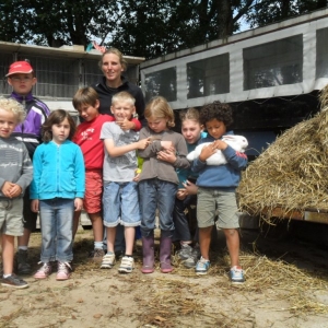 La ferme d’A Yaaz. Les petits animaux devenus familiers