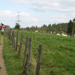 le sentier se fait piste! gare aux fils d'arca!