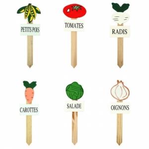 divers legumes