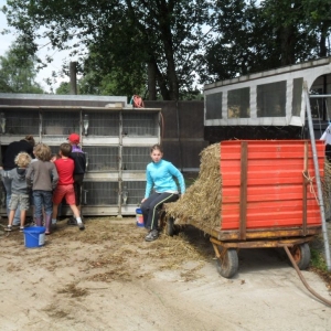 La ferme d’A Yaaz. Les petits animaux devenus familiers