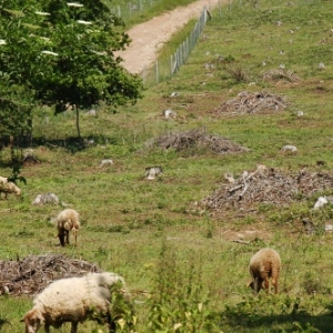 Randonnée gourmande "al cwene des bwes" - Pays d'Ourthe & Aisne