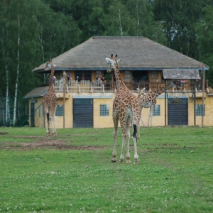 Le Monde Sauvage, Aywaille