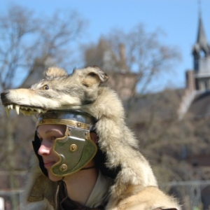 La foire aux Elfes - Haarzuilens (édition 2013)