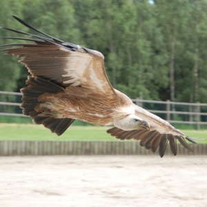 Le Monde Sauvage, Aywaille