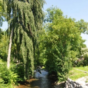 Randonnée gourmande "al cwene des bwes" - Pays d'Ourthe & Aisne