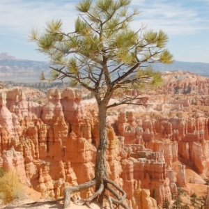 Bryce Canyon