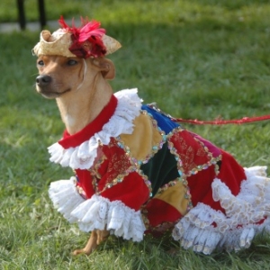 Les Costumés de Venise à La Marlagne et aux Jardins d'Annevoie