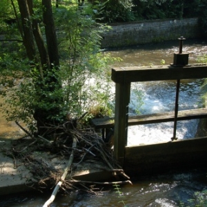 Randonnée gourmande "al cwene des bwes" - Pays d'Ourthe & Aisne