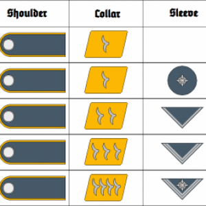 Pattes d'epaule et autres insignes