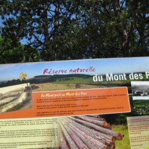 Randonnée gourmande "al cwene des bwes" - Pays d'Ourthe & Aisne