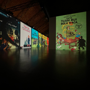 View of the show © Culturespaces © Hergé / Tintinimaginatio 2023