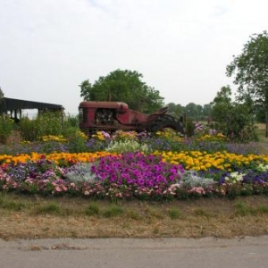 Luxembourg, province propre et fleurie, Sohier