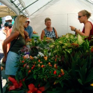 Des artisans jardins vous parlent de leurs metiers et donnent de bons conseils