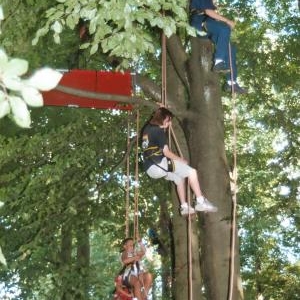 Monter dans les arbres comme des petits singes y a qu'a Euro Nature que c'est permis!